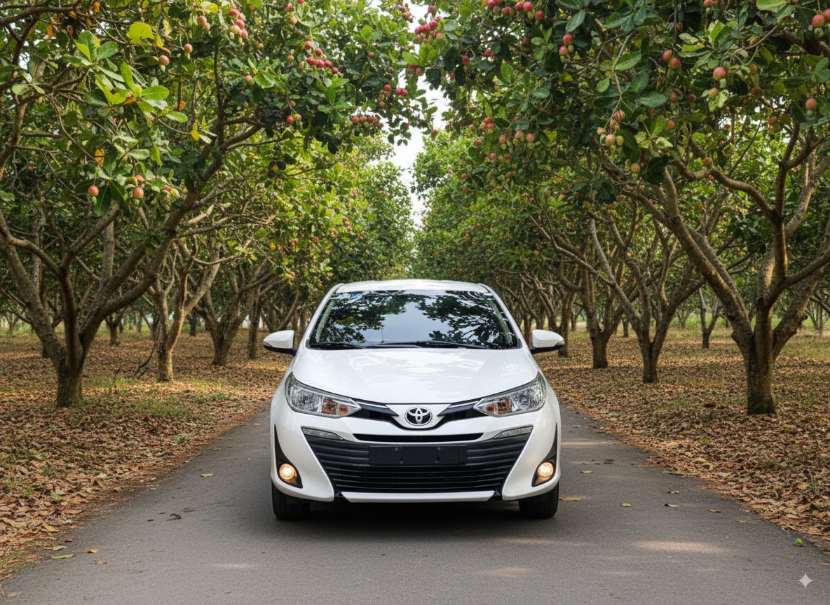 Taxi Vĩnh Long - Kiên Giang